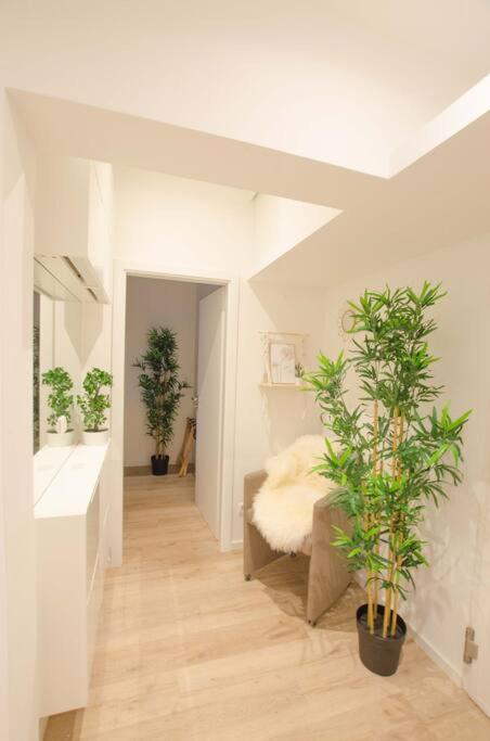 Casarina - Gemuetliches Apartment Im Zentrum เอาก์สเบิร์ก ภายนอก รูปภาพ